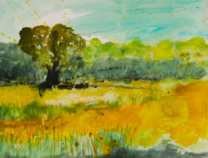 Kühe im Schatten - 64x49 Aquarell - 2021